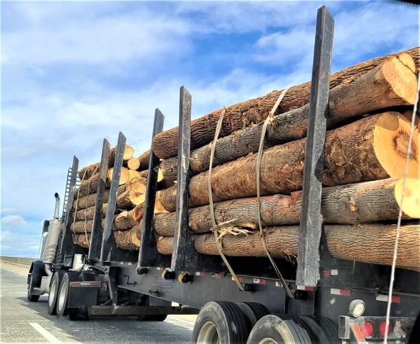 istock Logging Truck on the Highway 1372781044