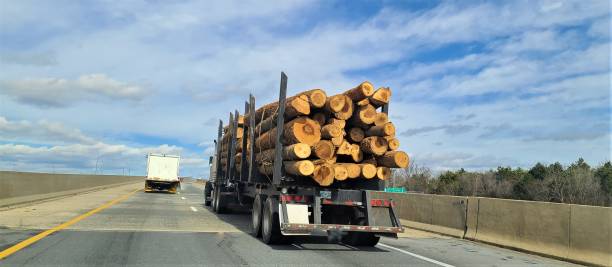 istock Logger Truck on the Highway 1372781045