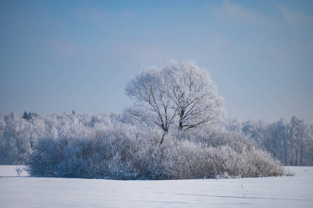 istock not frozen pond in winter 1372788906