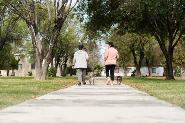 istock Mother and daughter walking their dogs along a path 1372791032