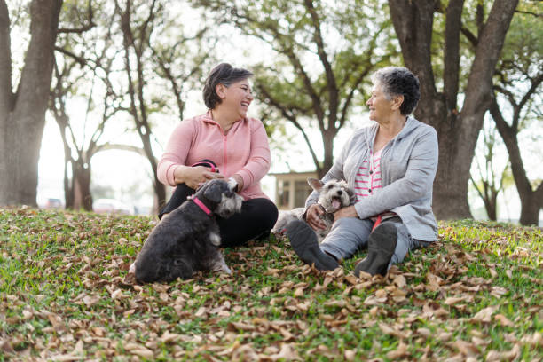istock Friendly daughter and mother spending time together at nature 1372791184