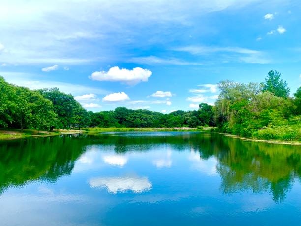 istock Serenity in Nature 1372797899
