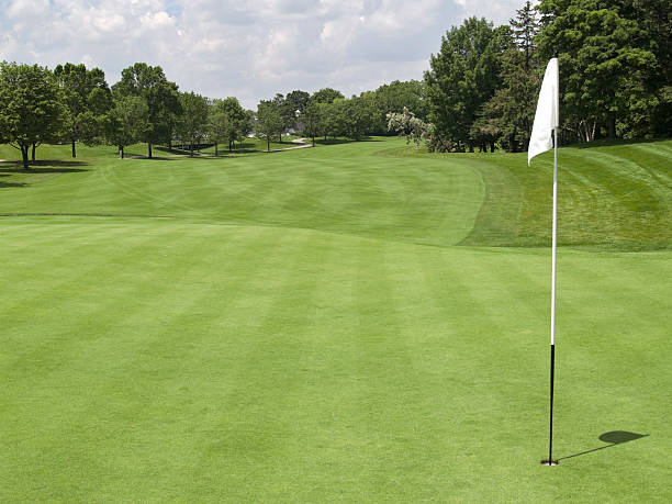 istock Golf Green with Flag 137279791