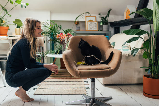 вид сбоку на красивую блондинку, улыбающуюся, глядя на свою милую черную кошку, сидящую в своем офисном кресле дома - undomesticated cat pets animal watching стоковые фото и изображения