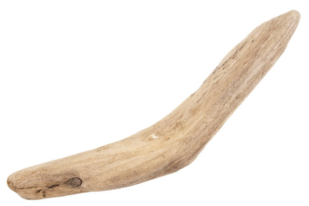 istock Piece of driftwood isolated on white 1372801589