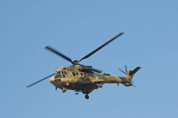 eurocopter cougar mk1 as-532 - as532 photos et images de collection
