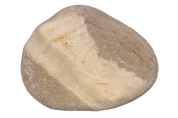 istock Top view of single gray pebble 1372801737