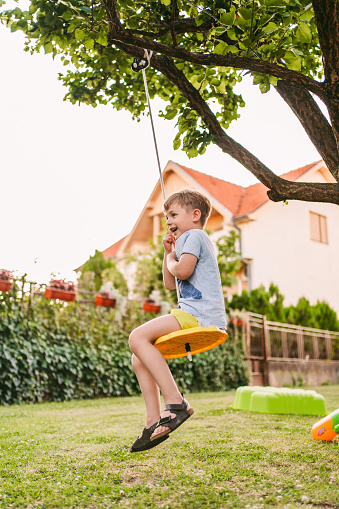 Photo of a little boy on a swing in his yard