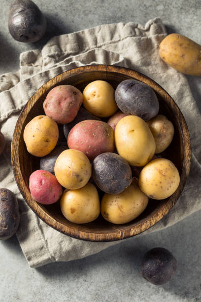 istock Raw Organic Baby Potatoes 1372804262