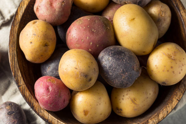 istock Raw Organic Baby Potatoes 1372804282