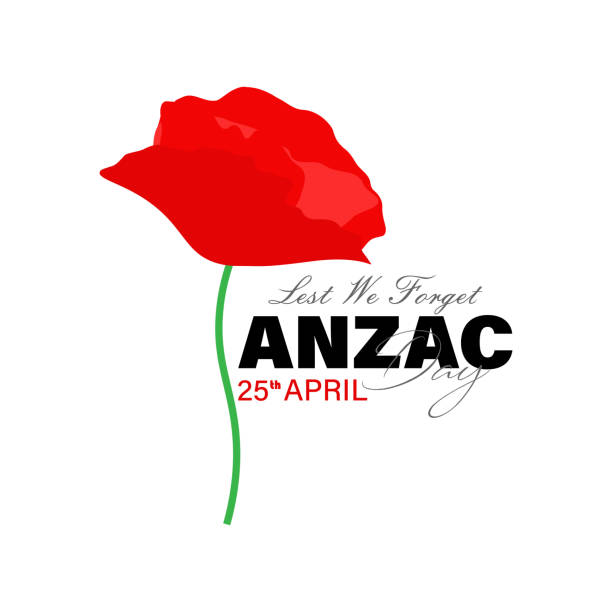 ilustraciones, imágenes clip art, dibujos animados e iconos de stock de día de anzac. flor de amapola. símbolo del día del recuerdo. para que no olvidemos las letras. - flanders war grave war memorial