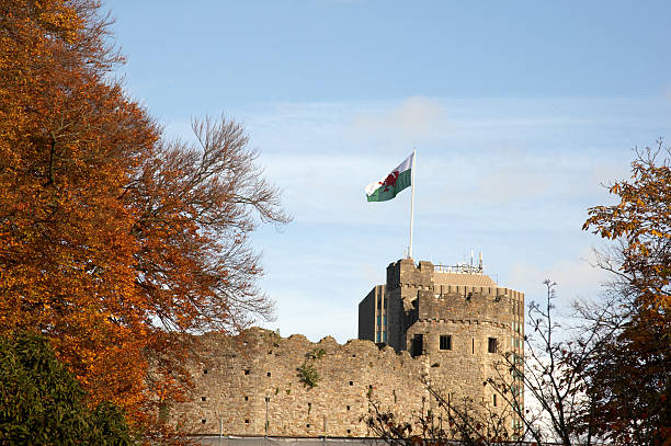 성 터렛 및 플랙 - castle cardiff wales welsh culture 뉴스 사진 이미지