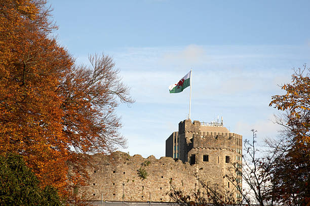 замок turret и флаг - castle cardiff wales welsh culture стоковые фото и изображения