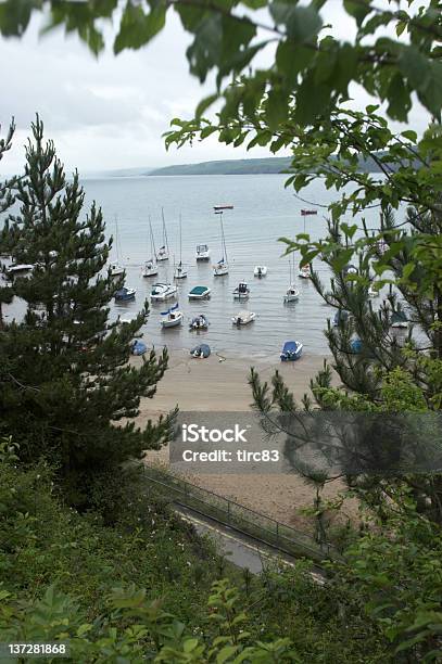 Mit Blick Auf Den Hafen Durch Bäume Stockfoto und mehr Bilder von Hafen - Hafen, Wales, Fotografie