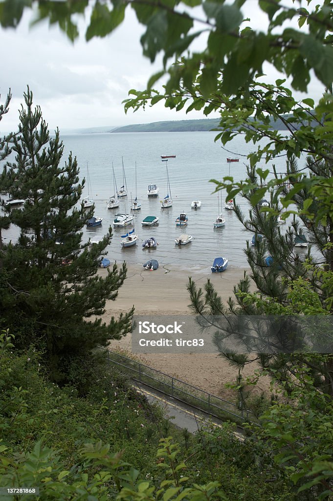 Vista porto attraverso alberi - Foto stock royalty-free di Galles