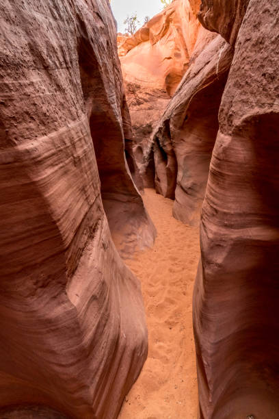 istock Slot Canyon Utah 1372819154