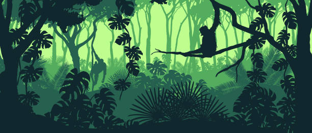 ilustraciones, imágenes clip art, dibujos animados e iconos de stock de hermoso paisaje vectorial de una selva tropical con monos orangutánes y exuberante follaje en colores verdes. - animal backgrounds ilustraciones