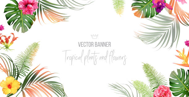 ilustrações, clipart, desenhos animados e ícones de bandeira tropical disposta a partir de folhas exóticas esmeraldas e flores exóticas - tropical blossom