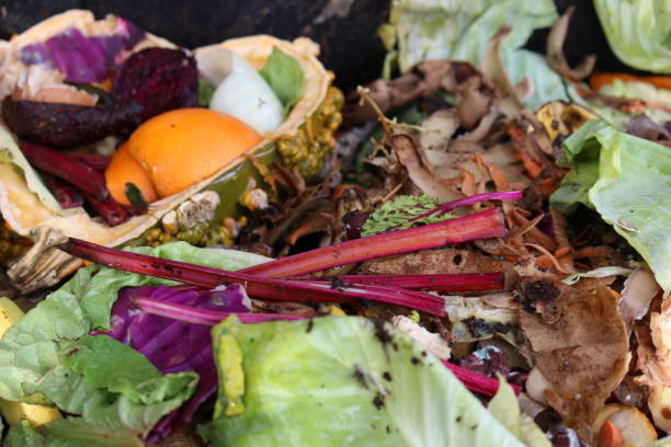 istock Layers of organic matter in a compost pile 1372828597