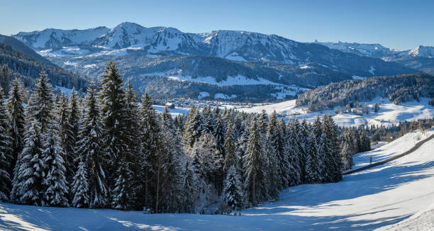 istock Winter landscape with snow covered forest 1372830339