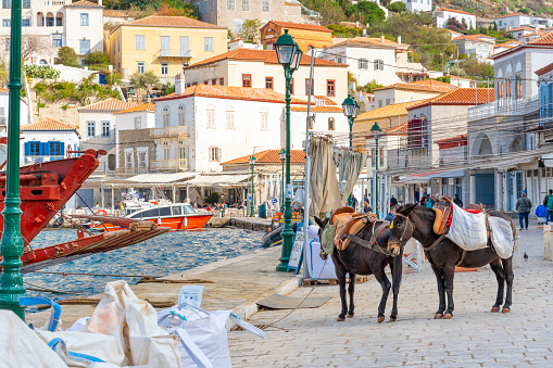 Horses, donkeys and mules wait for tourists on the waterfront picturesque promenade filled with shops and cafes at the Greek island of Hydra, Greece.