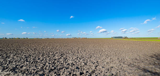 네덜란드 시골에서 쟁기 경작지 - mud terrain 뉴스 사진 이미지