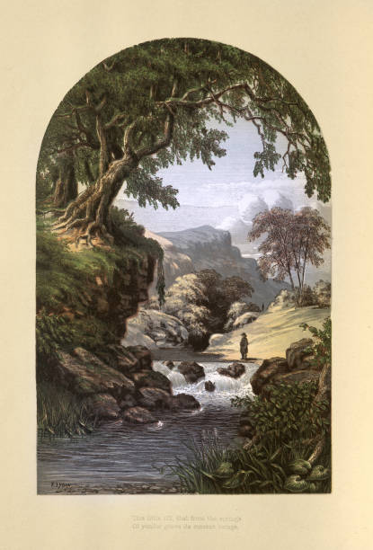 ilustraciones, imágenes clip art, dibujos animados e iconos de stock de arboleda de bosques y agua de manantial natural, arte paisajístico victoriano, siglo 19 - old fashioned scenics engraving river