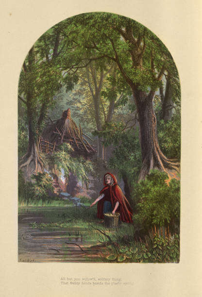 ilustraciones, imágenes clip art, dibujos animados e iconos de stock de anciana recolectando hierbas de un manantial de bosque, arte victoriano, siglo 19 - glade