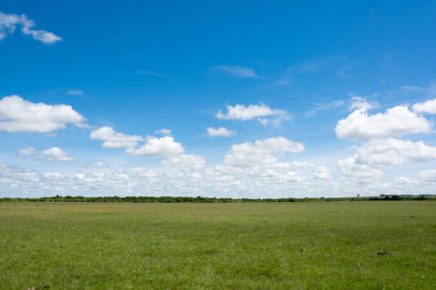 rural or field landscape with grass and sky with clouds