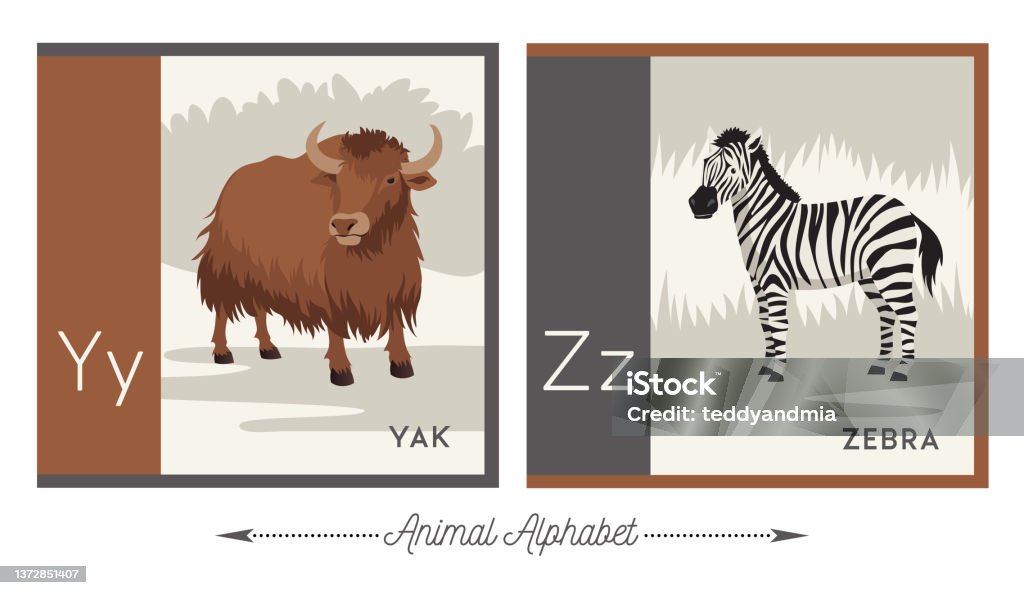 Illustrated Animal Alphabet Letter Y For Yak And Letter Z For Zebra Stock  Illustration - Download Image Now - iStock