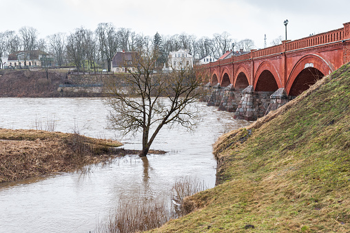 Flood in spring day. Flooded road and tree next to old red brick bridge. Kuldiga, Latvia.