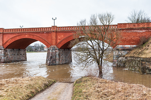 Flood in spring day. Flooded road and tree next to old red brick bridge. Kuldiga, Latvia.