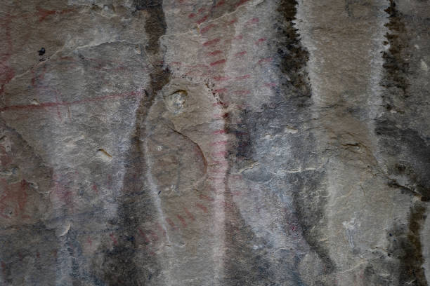 Algeria is Africa's largest country and most of it falls within the Sahara Desert. It also hosts the richest rock art concentrations of any other African country and some of the richest on earth.