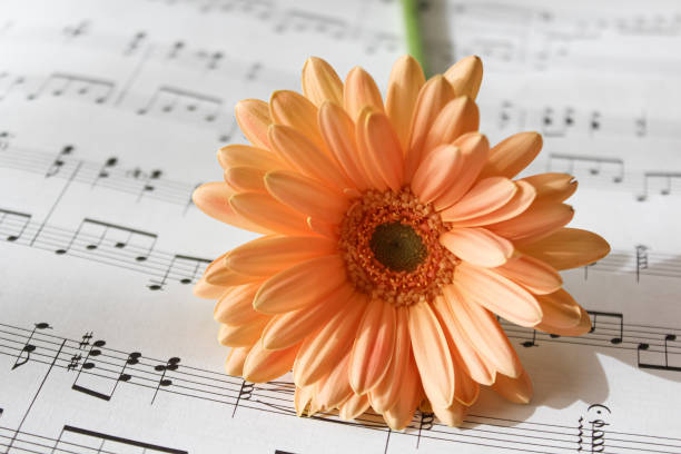 istock A song for you 1372856630