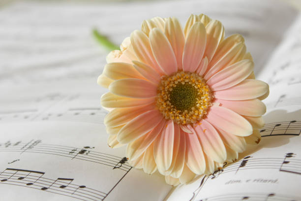 istock A song for you 1372856647
