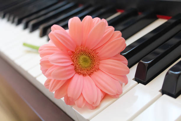 A song for you