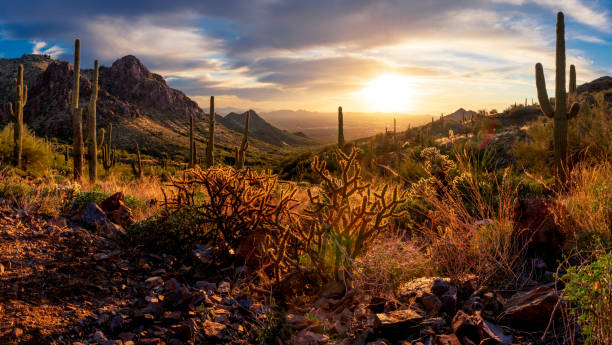 istock Sonoran Desert Valley Sunset Panorama 1372857406