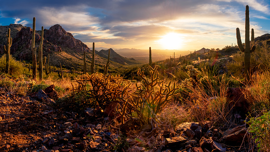 Majestic Sunset in the Sonoran Desert shot from Bell Pass overlooking Scottsdale, AZ