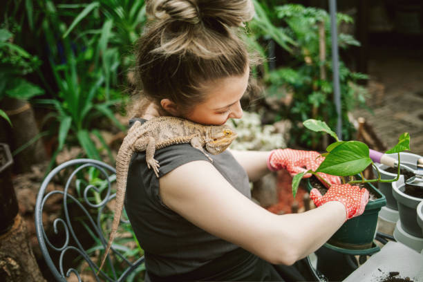 istock Florist planting plants 1372864152