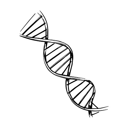 DNA molecule structure. Genetic and chemistry research isolated vector illustration. Hand drawn illustration sketch.