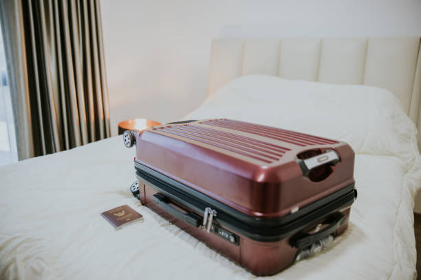 istock I am ready to travel right now. 1372880201