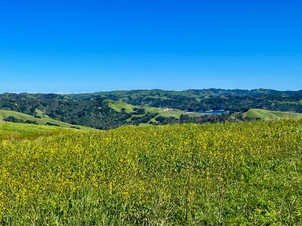 istock Rugged East Bay Hills 1372891114
