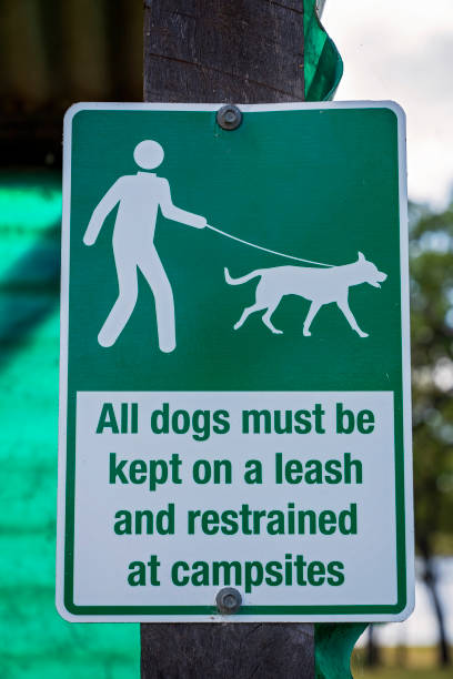 istock Dogs Must Be Kept On Leash Signage 1372891285