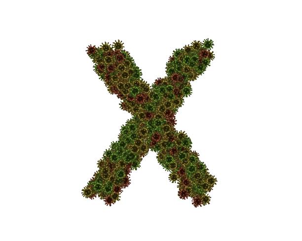 Cut out letter X with growing plant inside. Part of the alphabet.