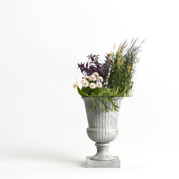 istock Vintage potted flora isolated on light background 1372895779
