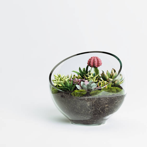 Flora in glass pot isolated on light background