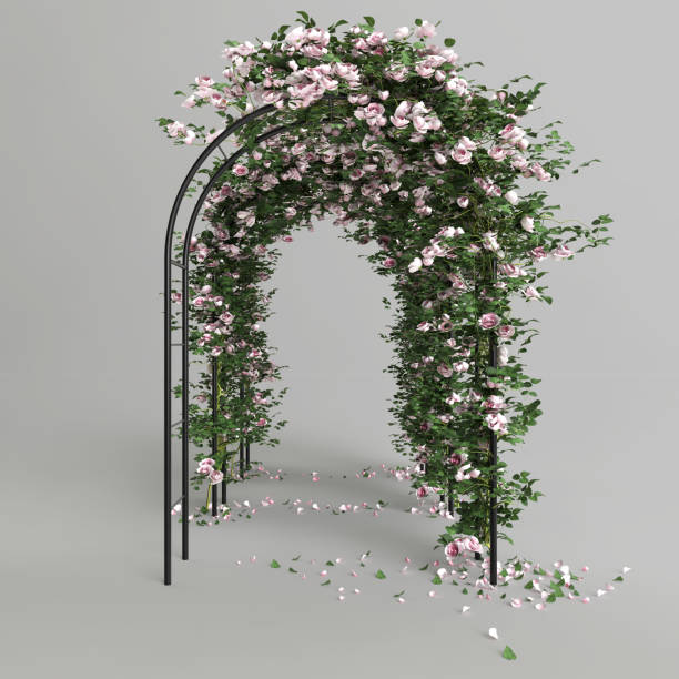 istock Three domes with pastel pink roses isolated on gray background, front view 1372896764