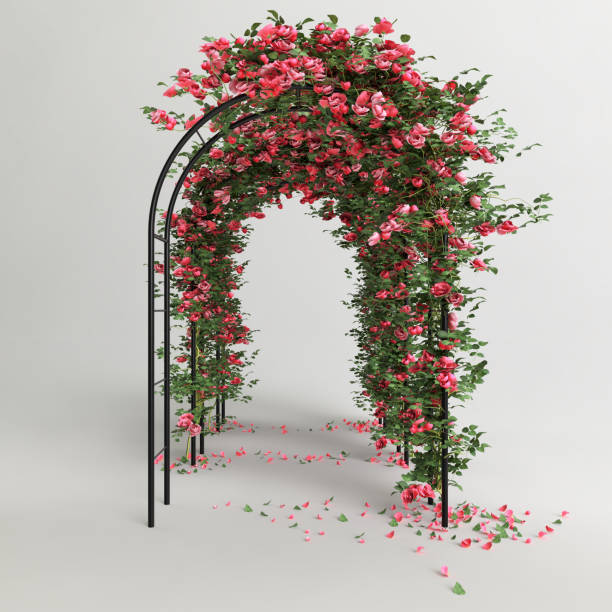 istock Three domes with pink roses isolated on gray background, front view 1372896772