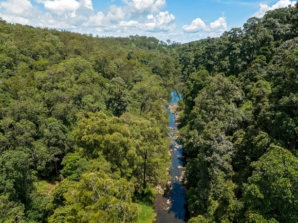 istock Drone aerial of Broken River flowing through dense national park. 1372897515