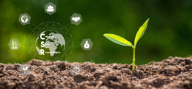 istock Corporate Social Responsibility CSR and Sustainability Responsible Office CSR 1372897814
